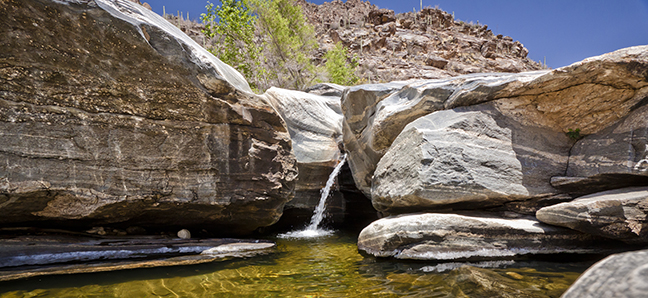 Tours Of Sabino Canyon   SabinoC2 